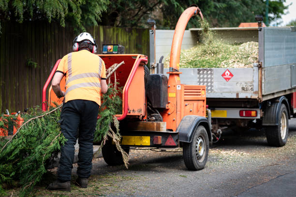 Grass Overseeding